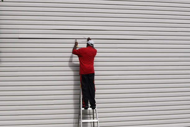 Best Siding Repair  in Bloomgton, IN